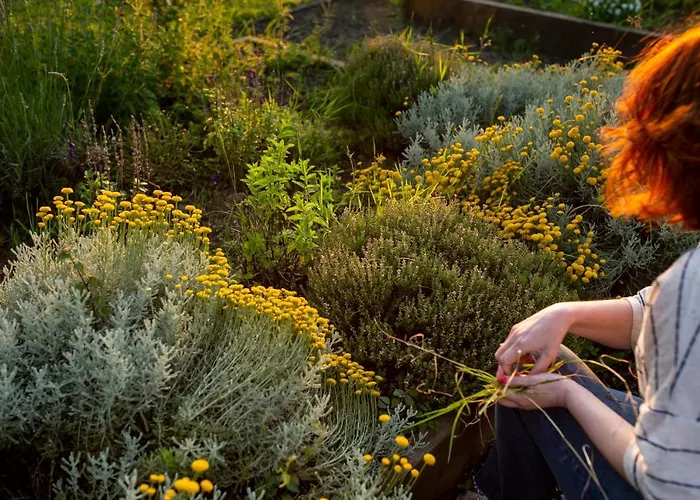 شقة Casona De La Parra San Miguel de Meruelo