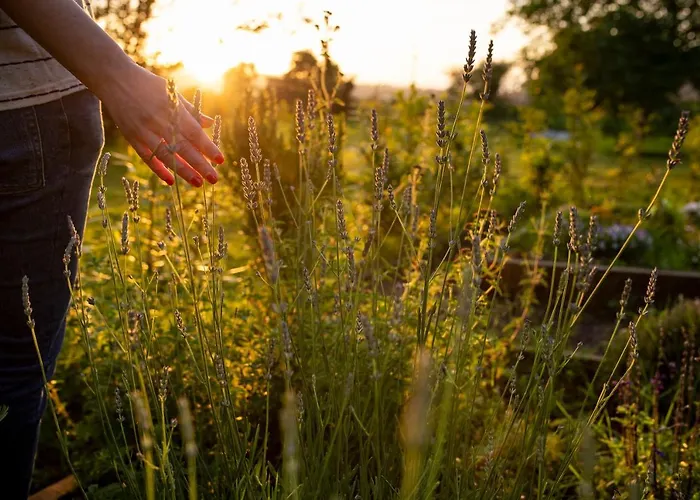 Casona De La Parra شقة