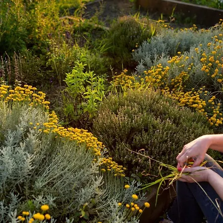 Apartamento Casona De La Parra San Miguel de Meruelo